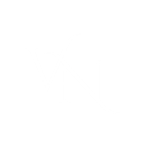 Vision Nest logo